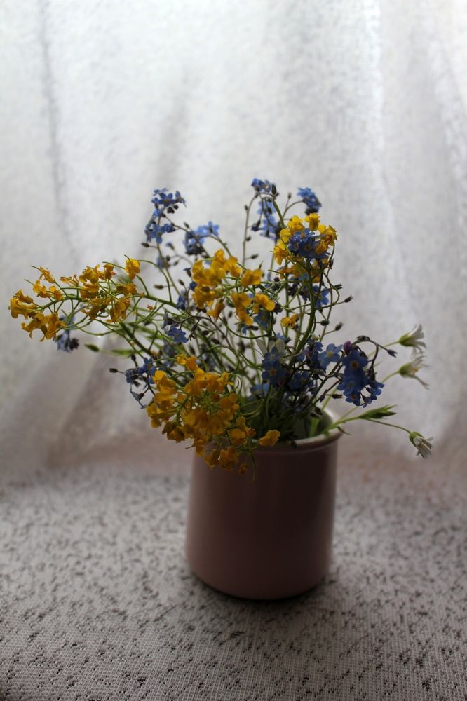 Photograph by Olga Bagaeva