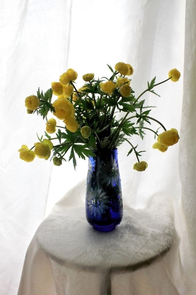 Photograph by Olga Bagaeva