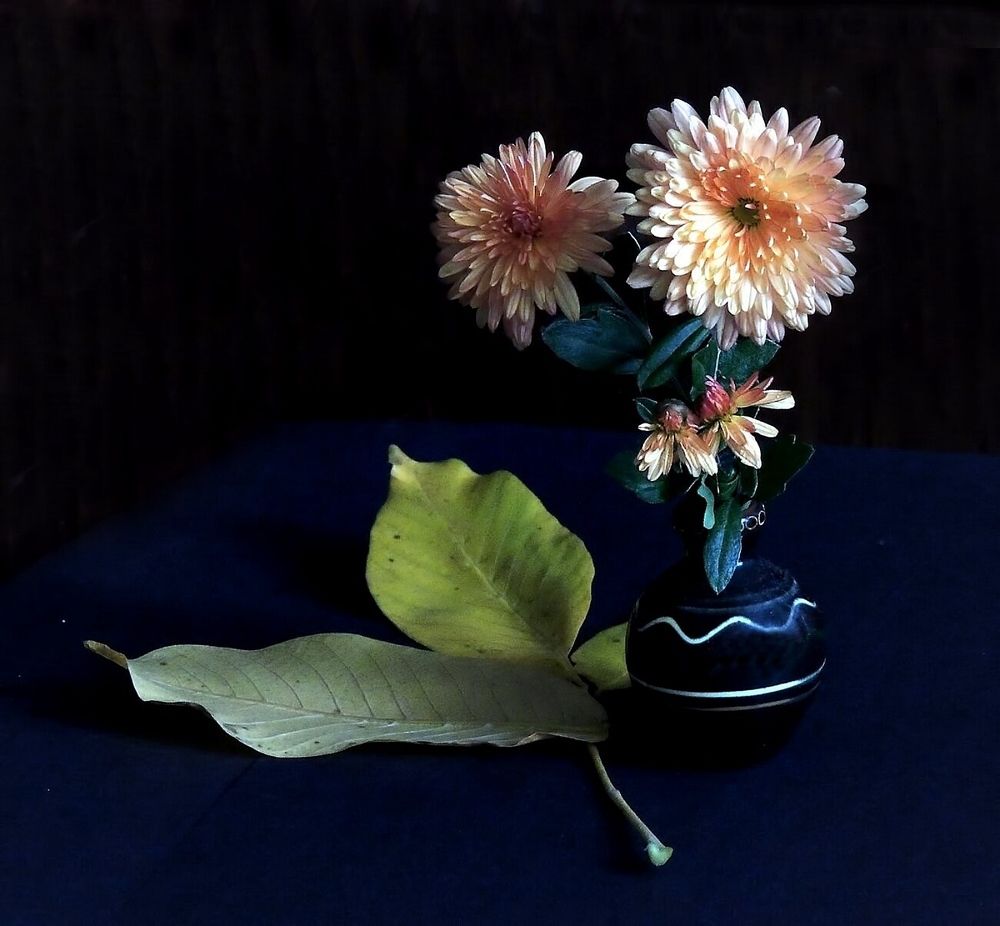 Фотография автора Роман Савоцкий