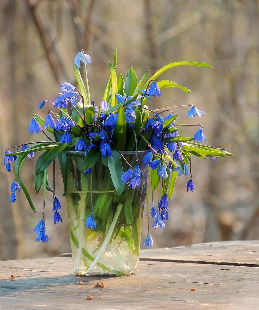 Photograph by Савоцкий Роман