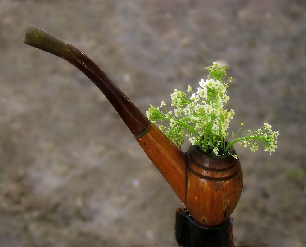 Photograph by Савоцкий Роман