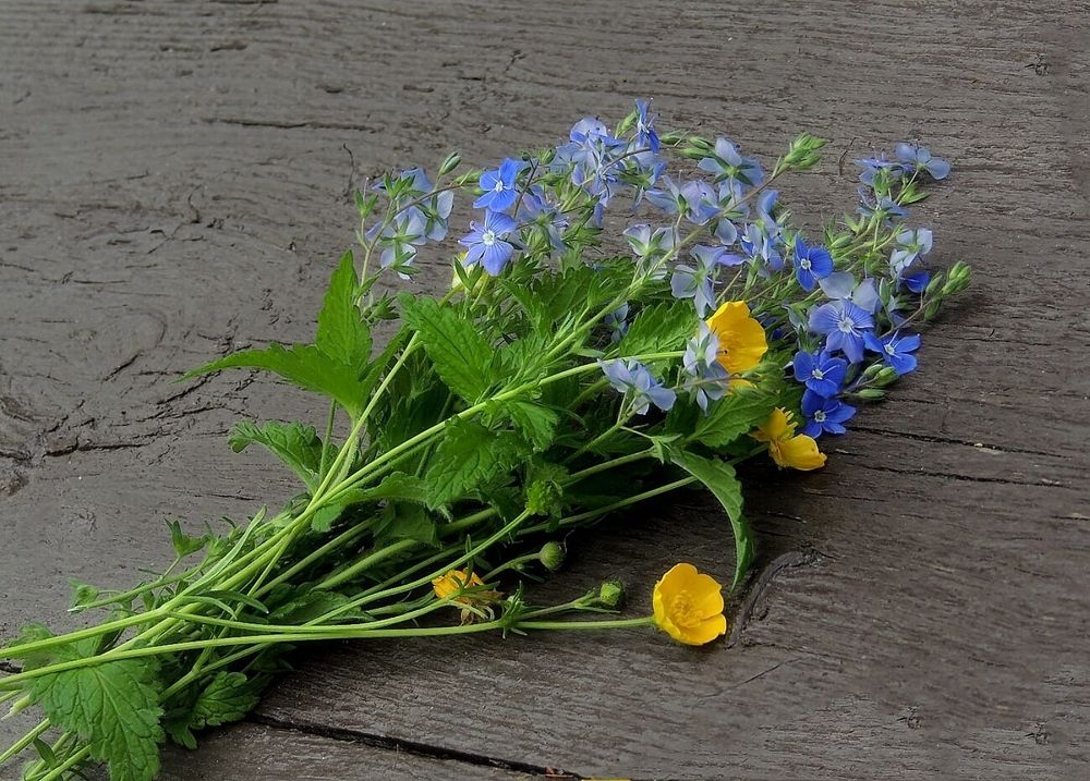 Photograph by Савоцкий Роман