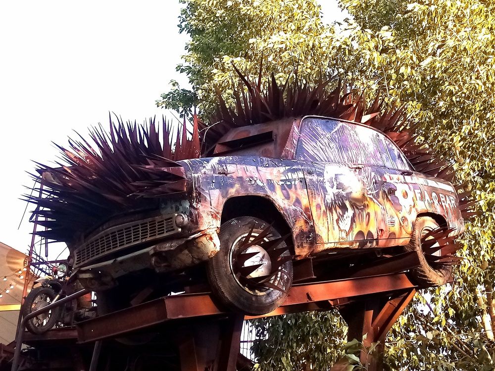Photo #7730825