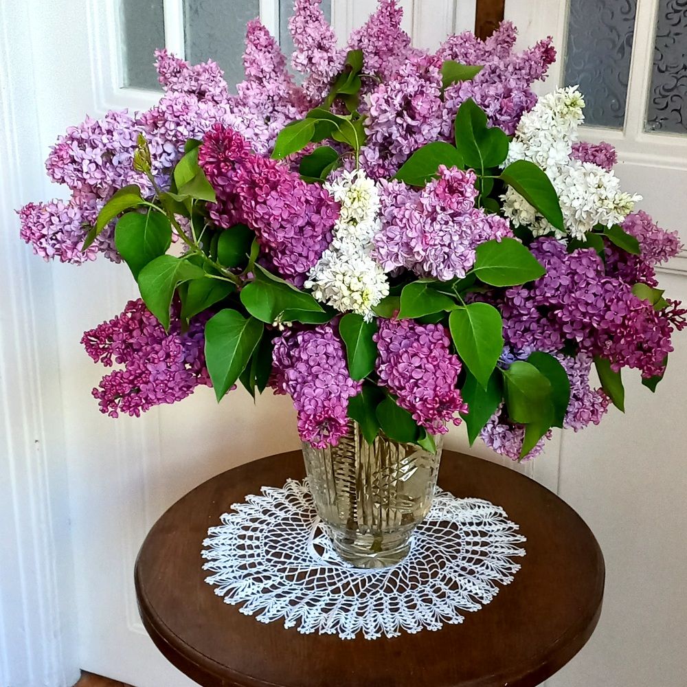 Photograph by Елена Шерман