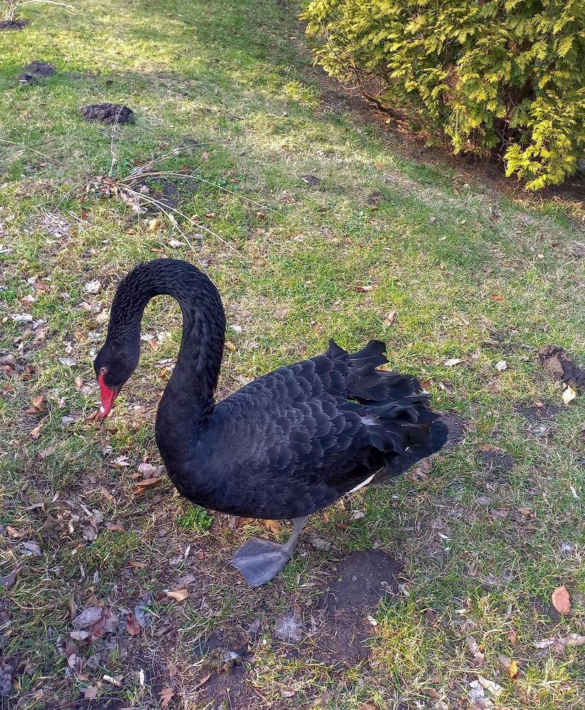 Photograph by Елена Шерман