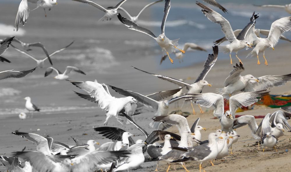 Photograph by Yuganthan Nallusamy