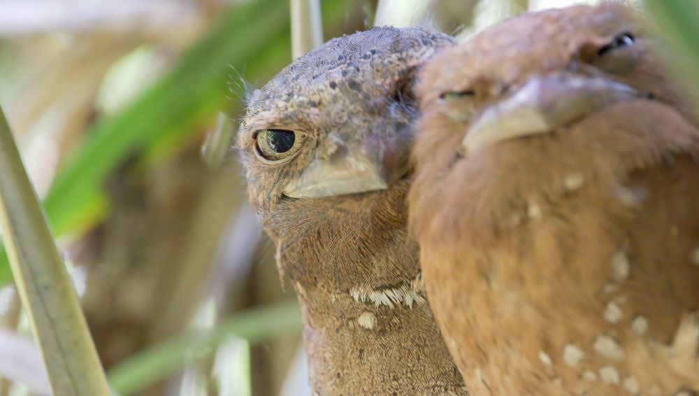Photograph by Yuganthan Nallusamy