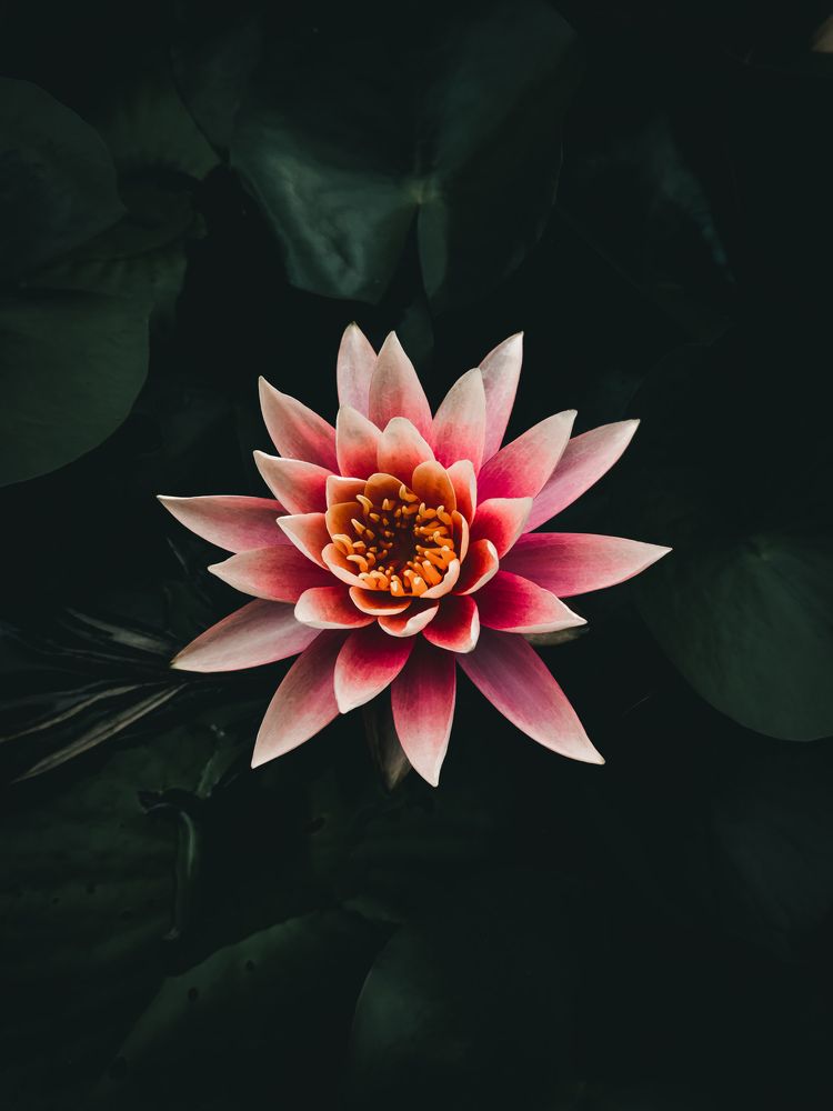 Photograph by Rudra Patel