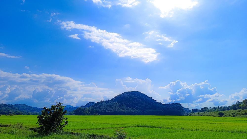 Photograph by Babli Das