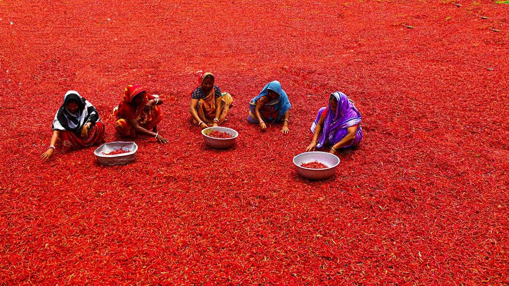 Photograph by PRATYUSH HALDER
