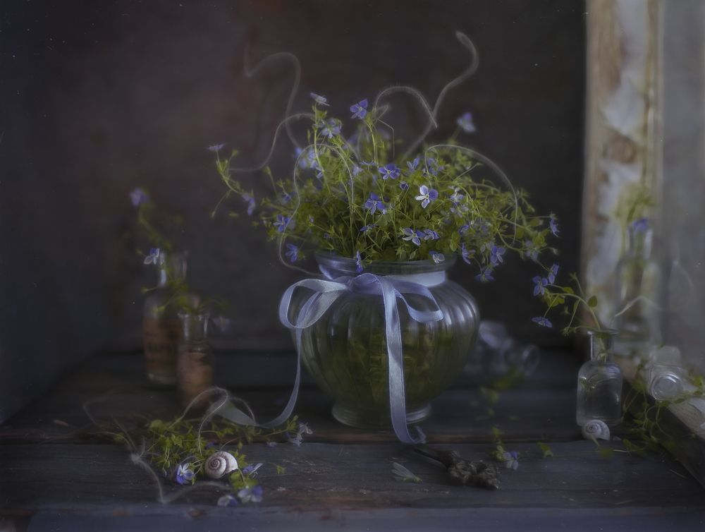 Photograph by Svoboda Andreeva