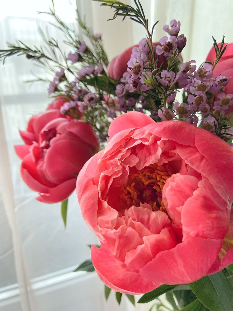 Photograph by Оксана Смородина