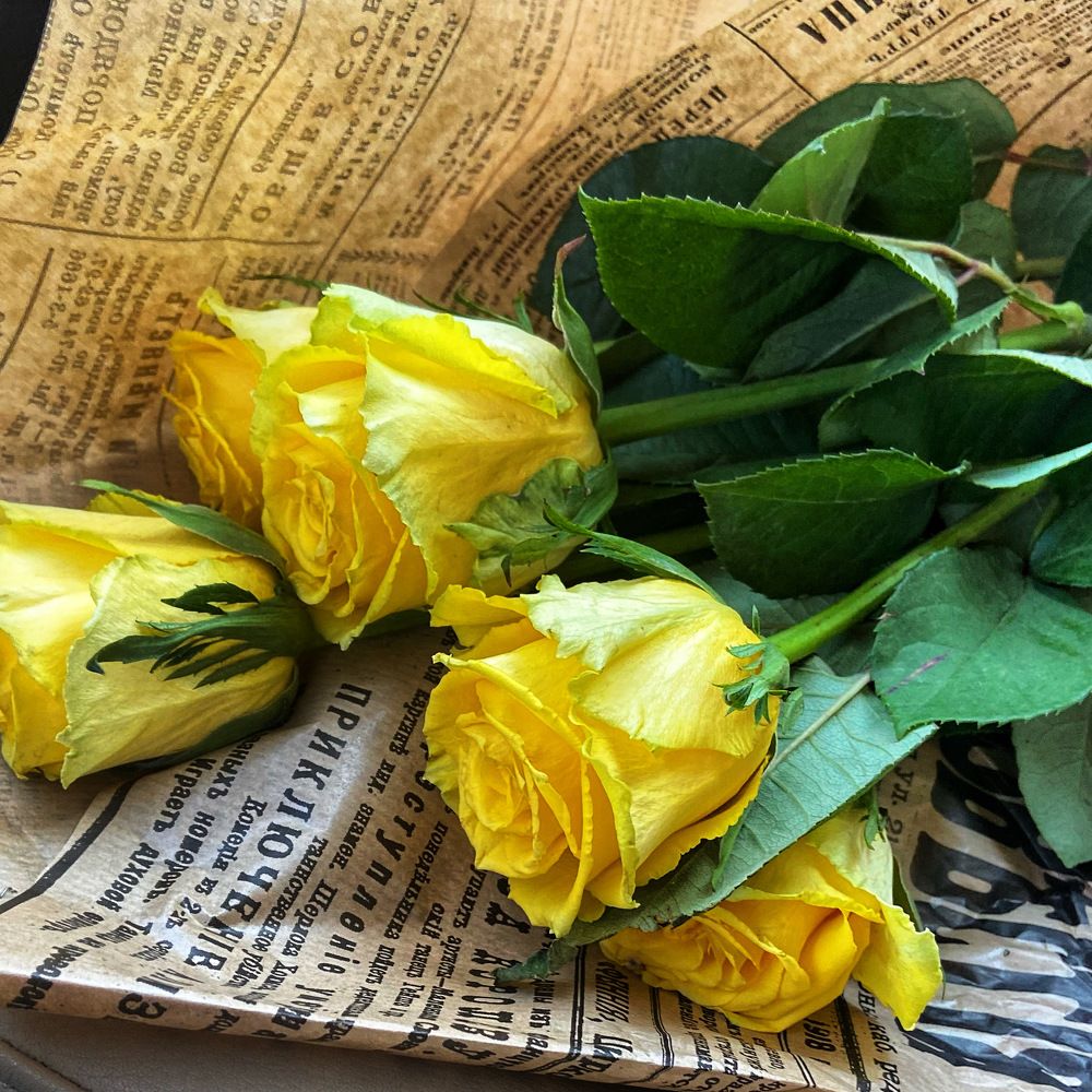 Photograph by Оксана Смородина