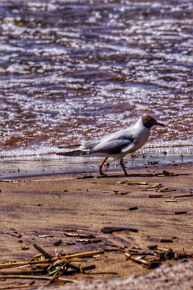 Photograph by Оксана Смородина