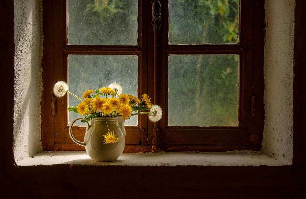 Photograph by LYUDMYLA POKRYSHEN