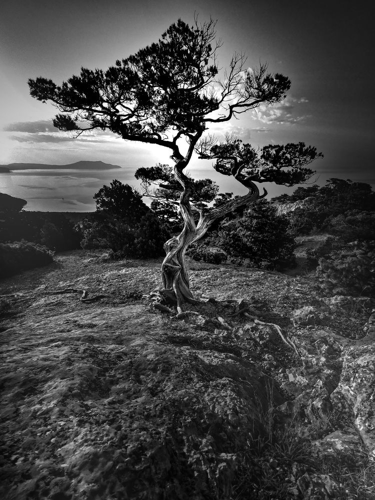 Тень восхода