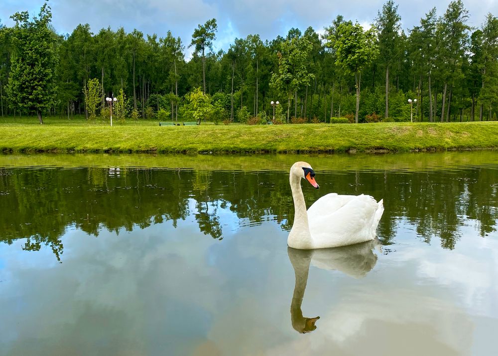 Photograph by Uladzimir Hvozd