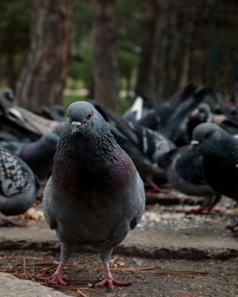 Photograph by Анна Чичилова