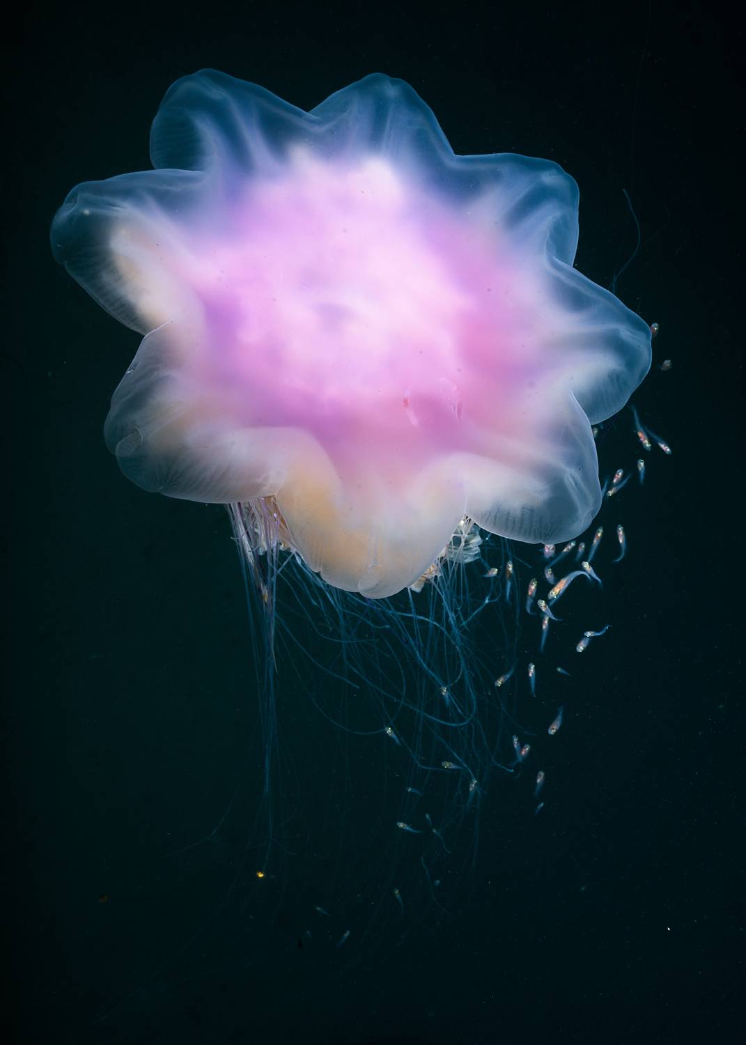 Фотография #7731309