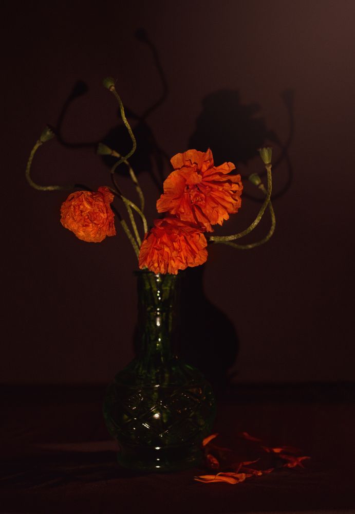 Photograph by Анна Колесниченко