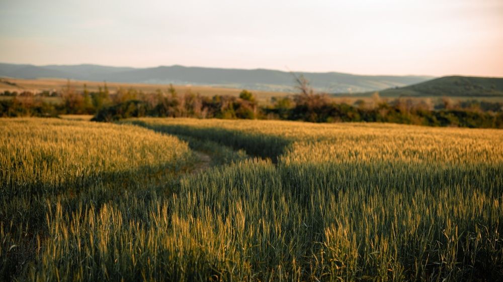 Photograph by Иван Комаров