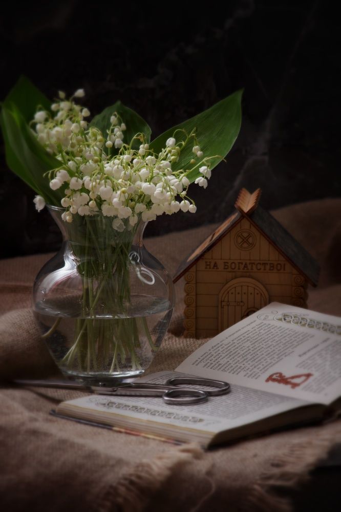 Photograph by Тамара Аржанова