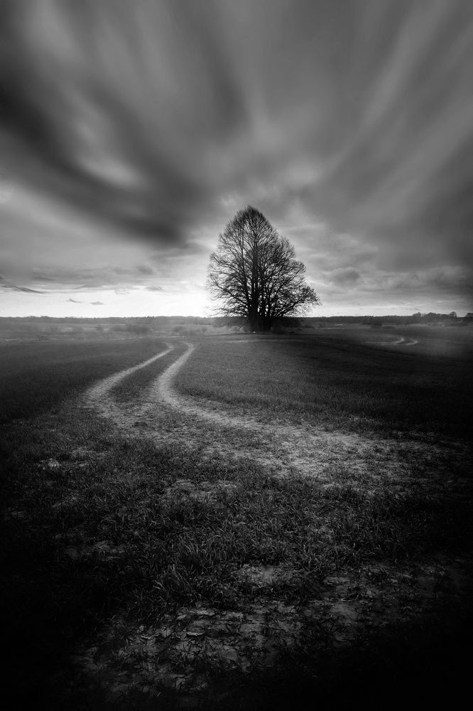 Photograph by Татьяна Максакова