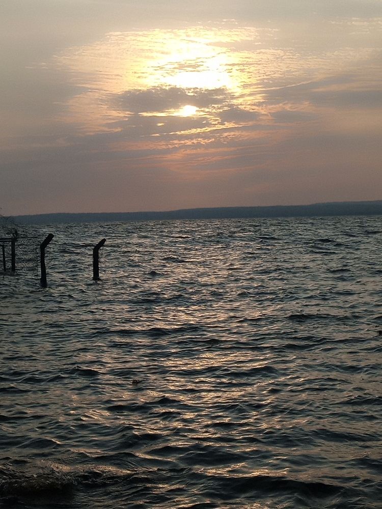 Photograph by Etyang Simon