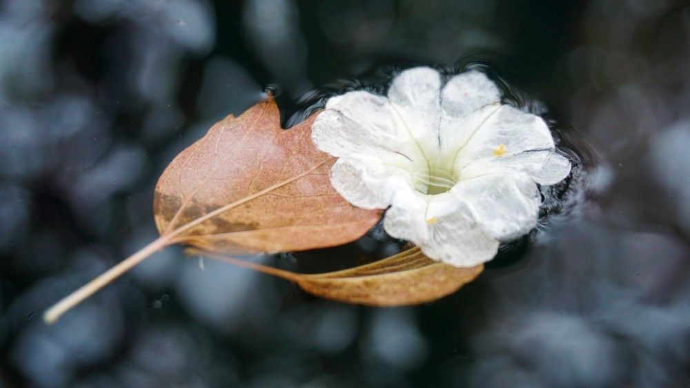 Photograph by Дмитрий Соколов