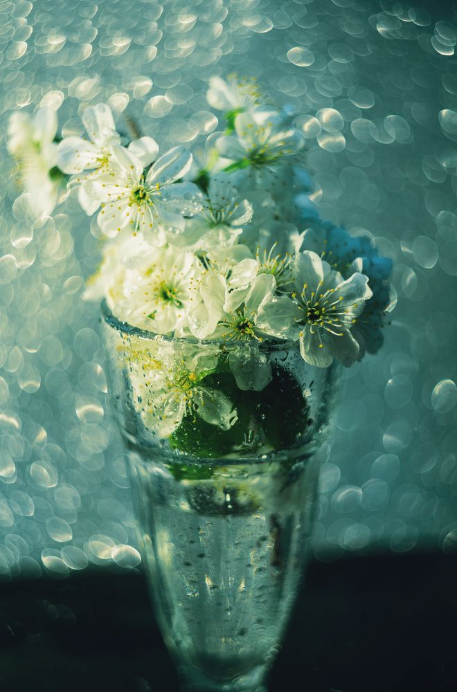 Photograph by Максим Митченко