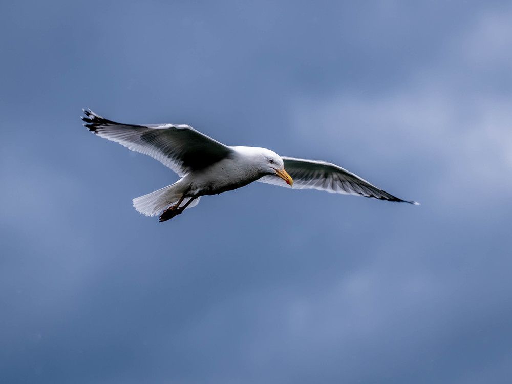 Photograph by Константин Горшенин