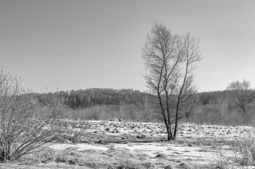 Photograph by Герман Корнеев