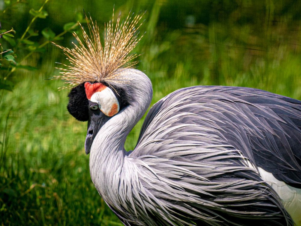 Photograph by Константин Горшенин