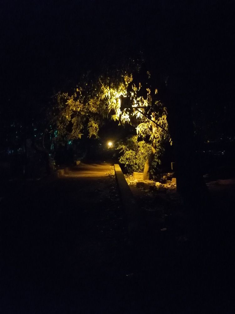 Photo #7731433