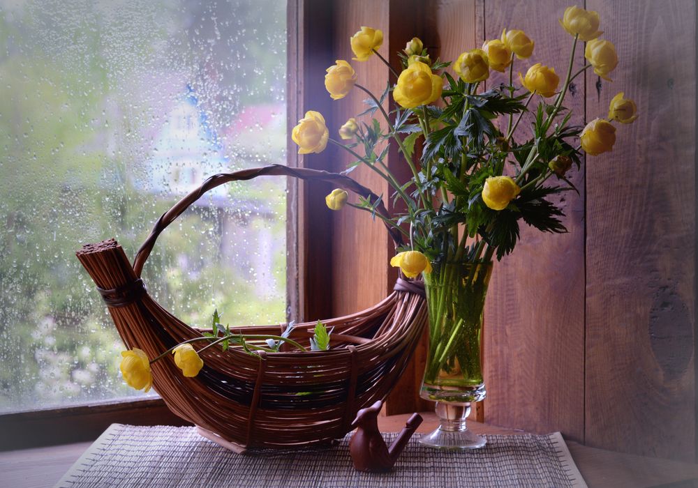 Photograph by Марина Никифорова