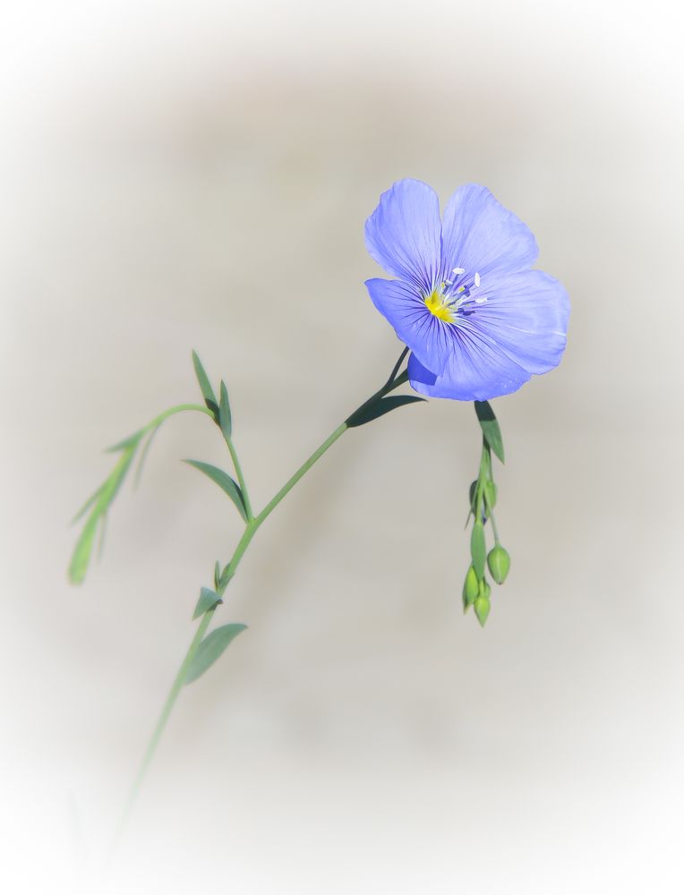 Фотография автора Виктор Позняков