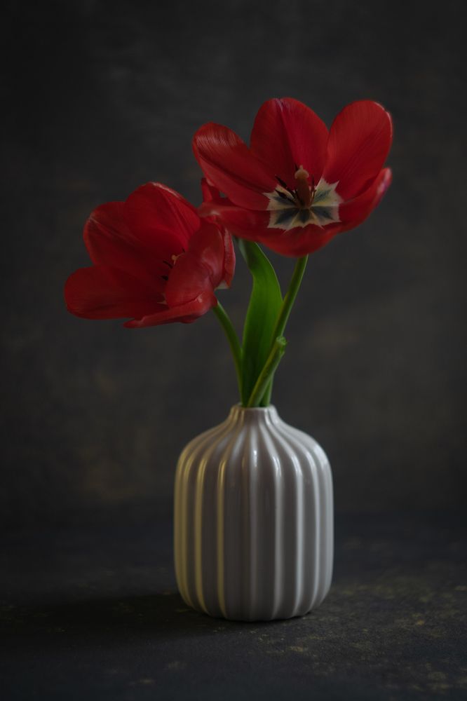 Photograph by Денис Ветренко