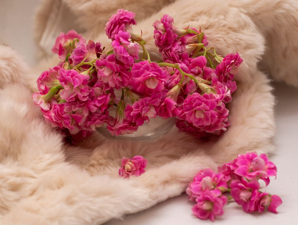 Photograph by Анастасия Трофимовская