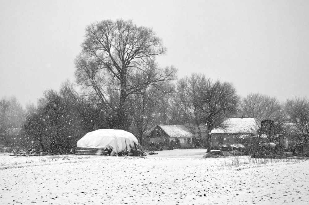 Photograph by Лысых Галина