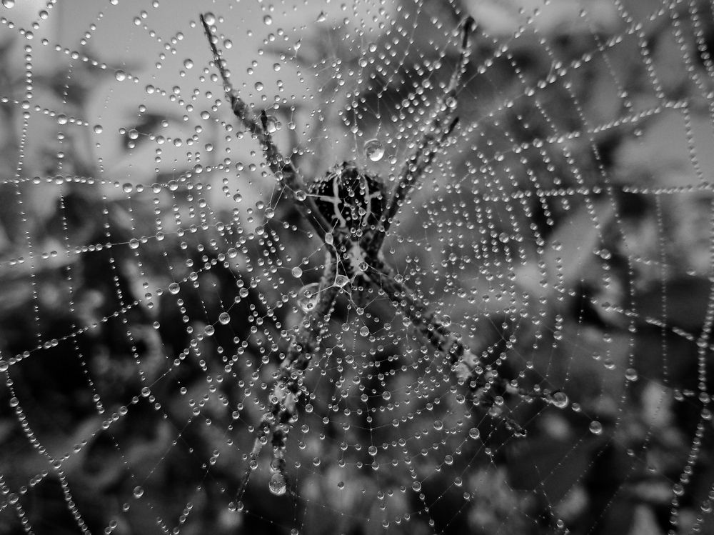 Photograph by Jyoti Ranjan Swain