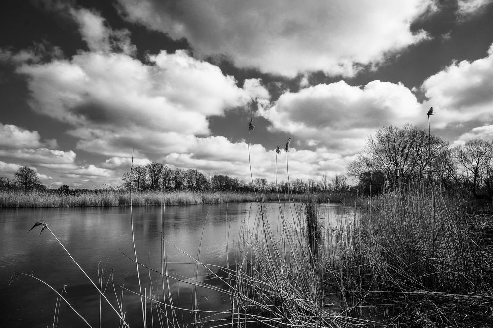 На крыльях ветра