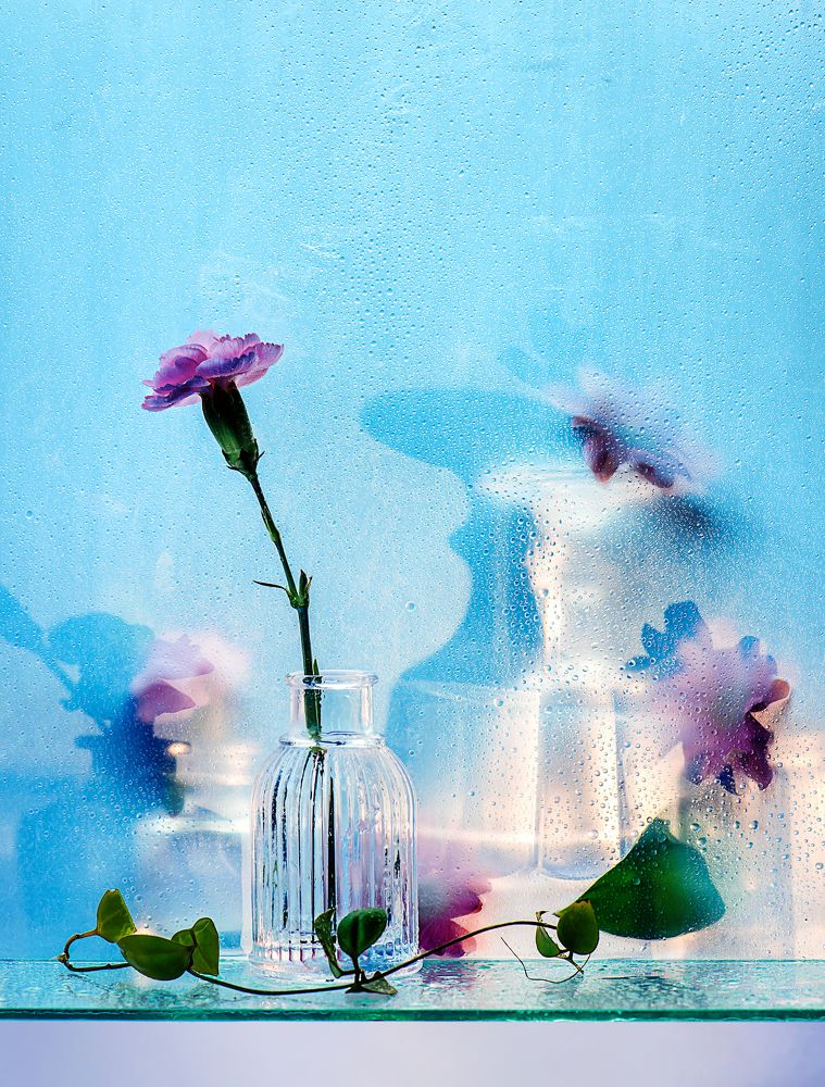 Photograph by Dina Belenko