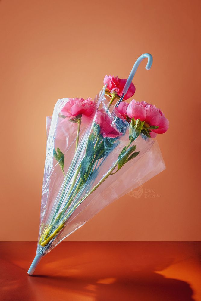 Photograph by Dina Belenko