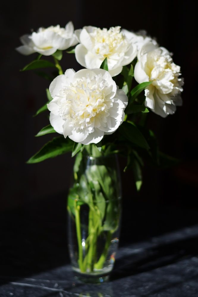 Photograph by Анастасия Койчина