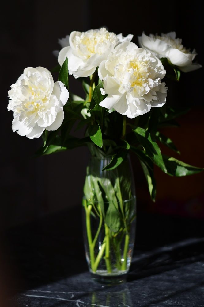 Photograph by Анастасия Койчина