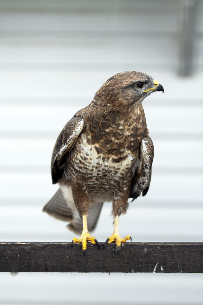 Photograph by Игорь Круглов