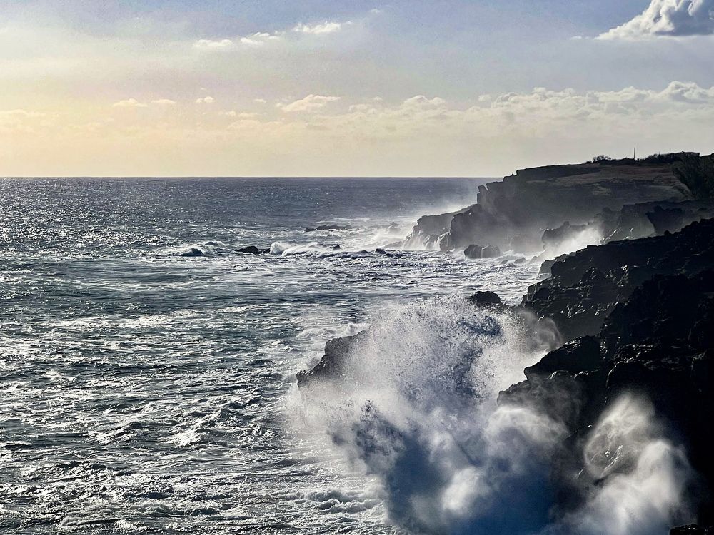 Photograph by Christine ECHEVET-ADAM de VILLIERS