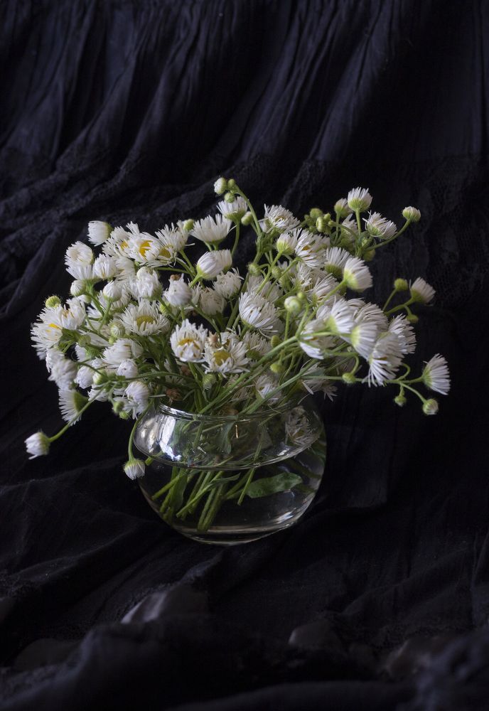 Photograph by Анастасия Трофимовская