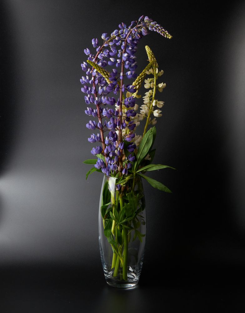 Фотография автора Вадим Бороненков