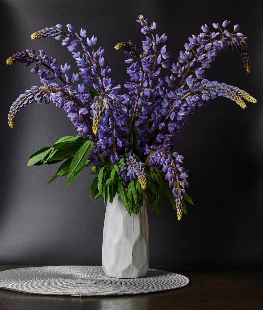 Фотография автора Вадим Бороненков